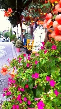Halena Apart Hotel Istanbul